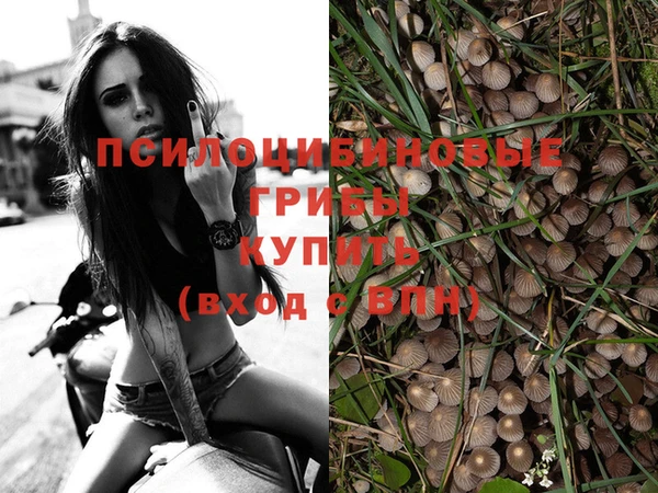 круглые Алзамай