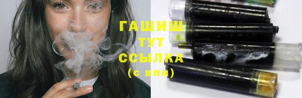 гашик Алексеевка